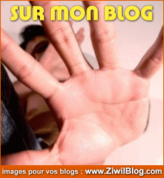mon blog,ma vie